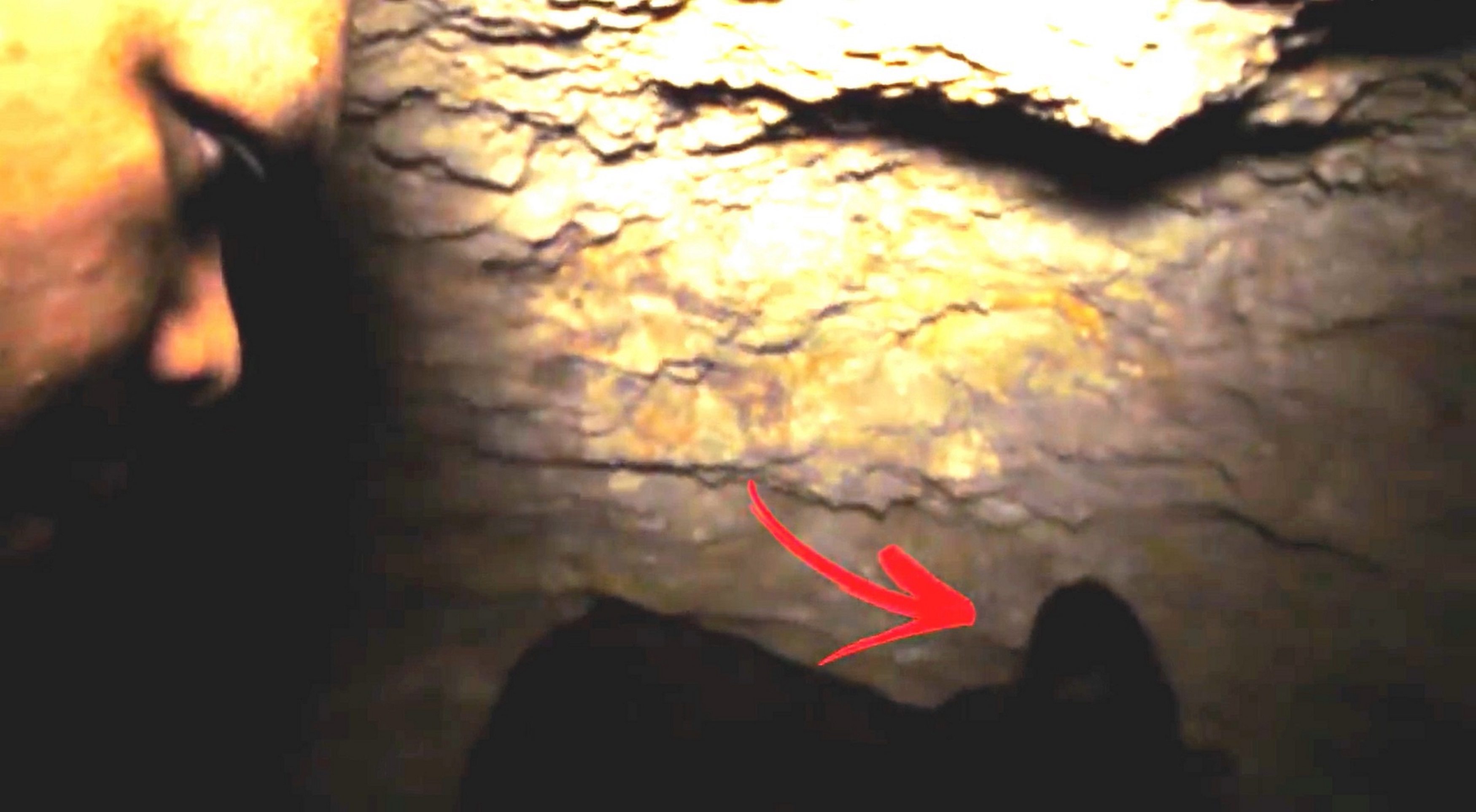 When later checking over their footage, Xavier was stunned to discover that there was in fact a 'hooded figure' lurking in the darkness behind them as they left. (Image: Kennedy News and Media)