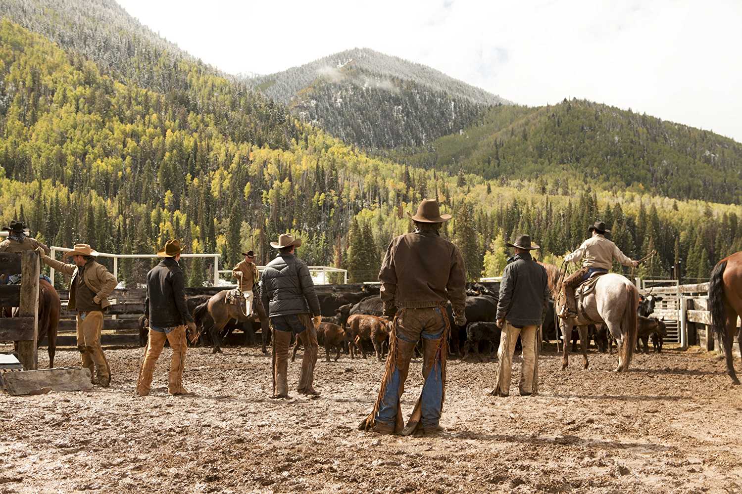 'Yellowstone' is one of the shows that will soon drop the Weinstein label (IMDb)